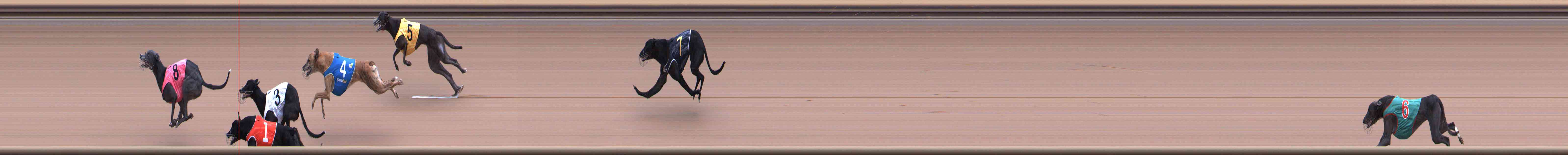 Race result finish photo